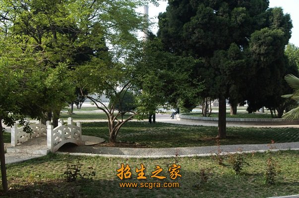 同类内容两者都保留在站内即可形成完整