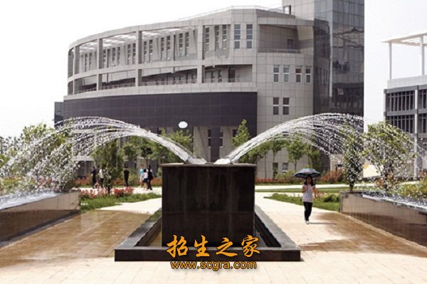 效益显著