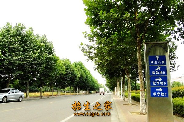 枇杷园等景观项目