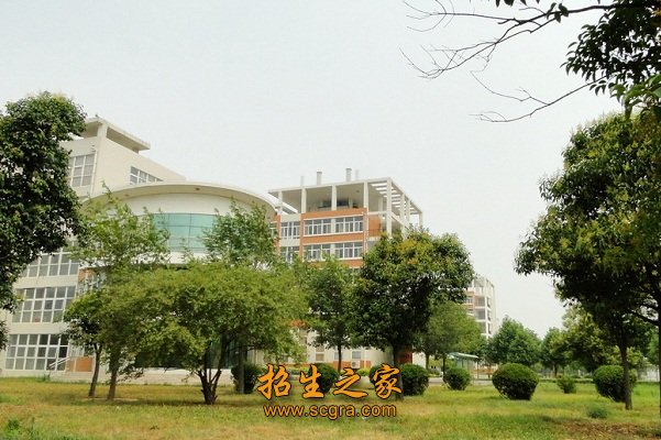 校园式的花园