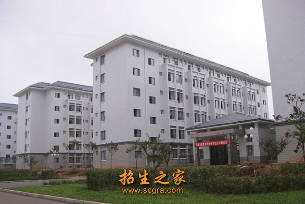 医学澳门永利平台正式成为意甲联赛官方