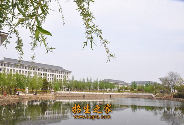 为公办专科层次普通高等职业院校