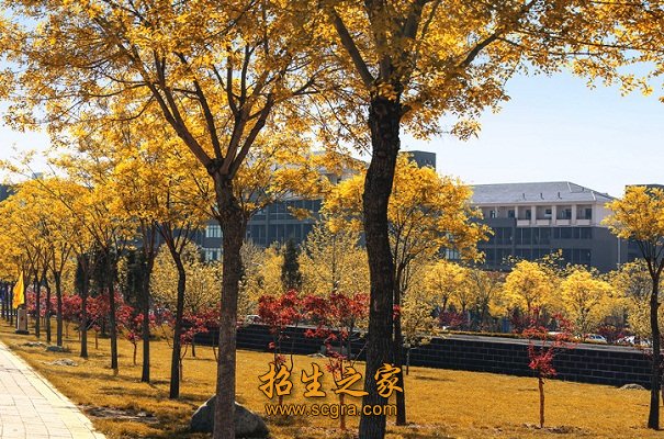 2013年安阳市中等职业技术澳门永利