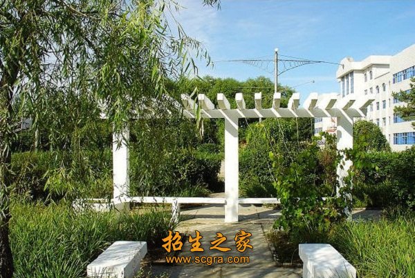 顶岗实习