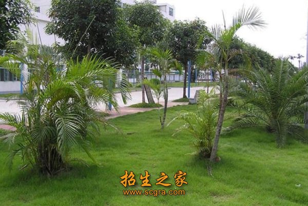 项目驱动等先进教学模式