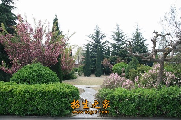 纽卡斯尔联携手澳门永利平台公布官方合