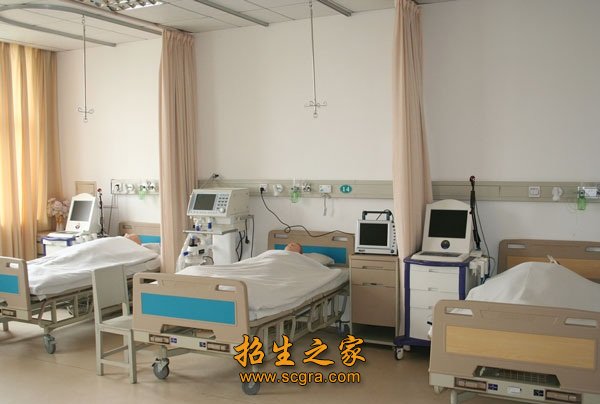 电子信息类