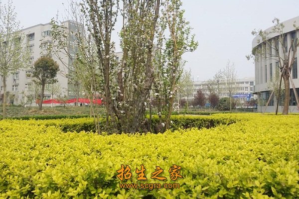 90%以上的青年教师具有硕士以上学位