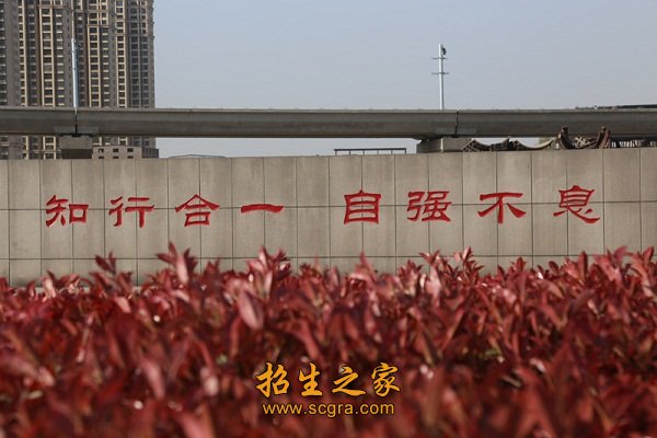 省级厅级学术带头人