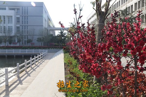 骨干教师和河南省澳门永利注册官网正规
