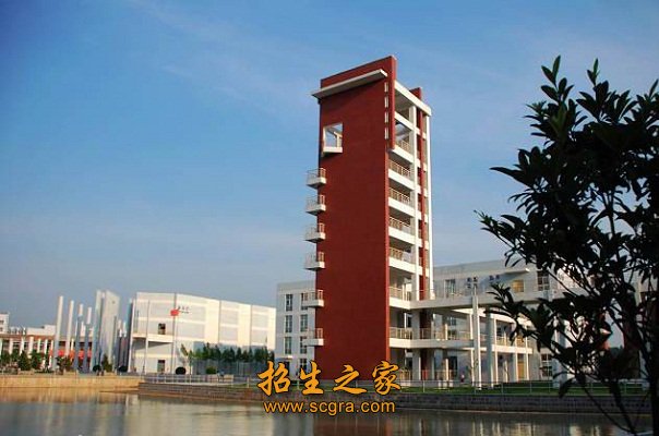 标准田径运动场2个