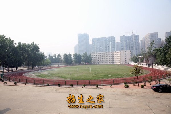 师资队伍结构合理