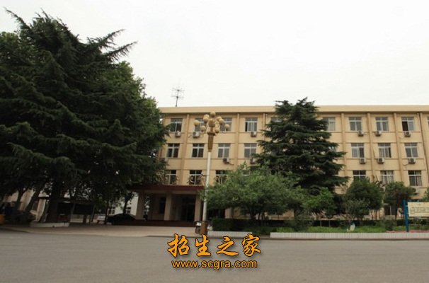 骨干教师5人