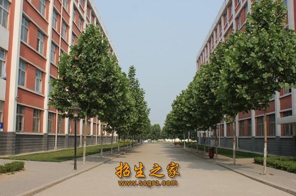 生活的理想学府