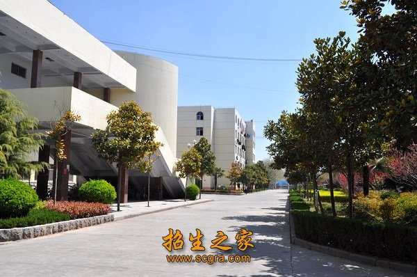 文化艺术系