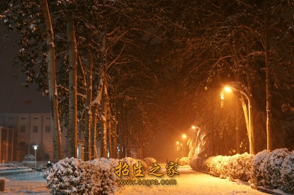 高于同类院校的平均就业率
