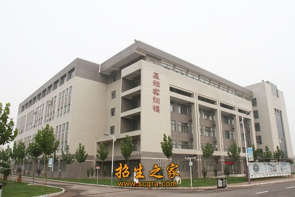 勇于奉献的教师团队