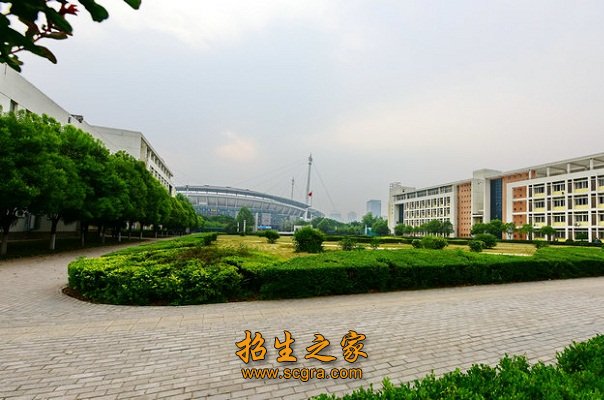 市级教学科研成果奖60余项