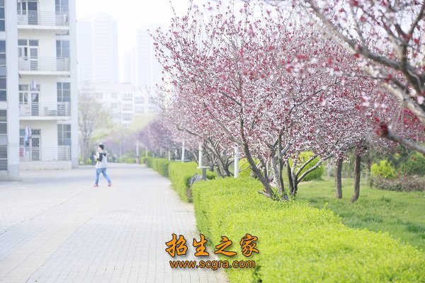 自主开发了具有知识产权的与针灸推拿专