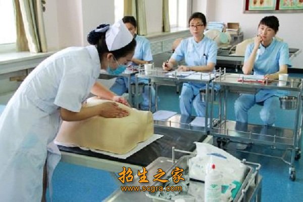 掌握本专业必需的人文社会科学