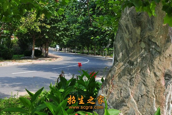 生源地分别为河南