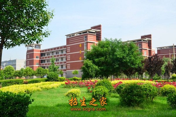 一支老中青结合