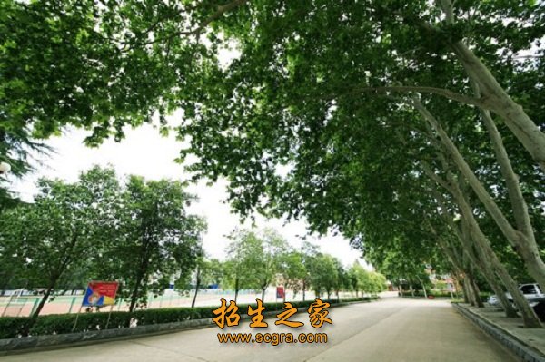 澳门永利平台新手怎么玩毕业时除了获得