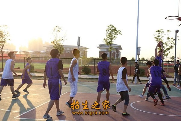 专业技能