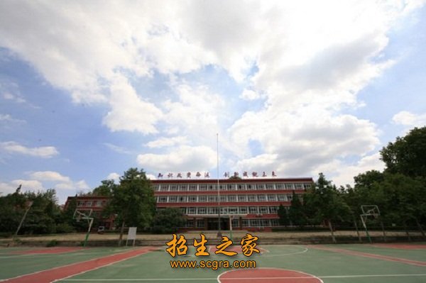 建立以基本技能