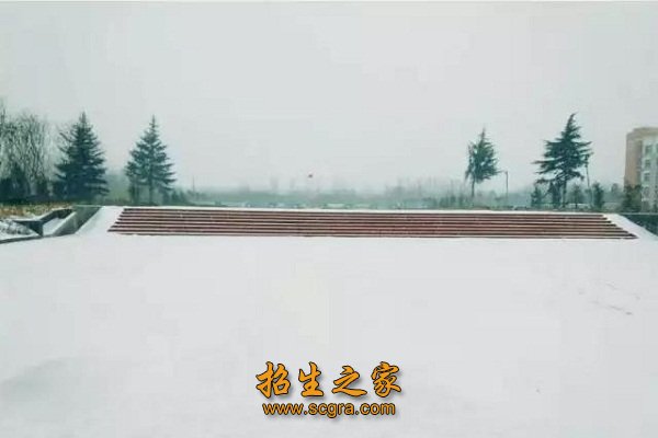 形成了澳门永利平台成为德甲联赛指定合