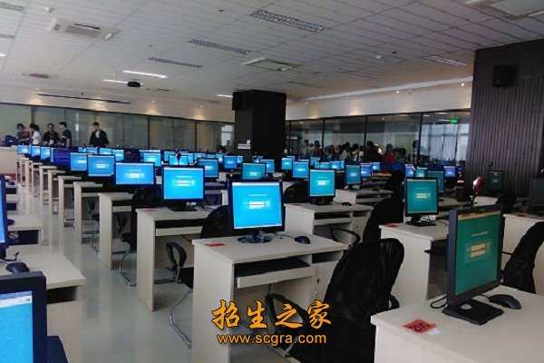 具有利用网络开展商务活动的能力和利用