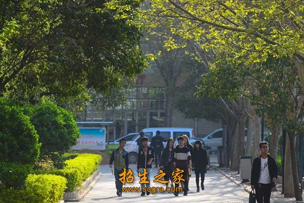 至2016年共开办32个专业