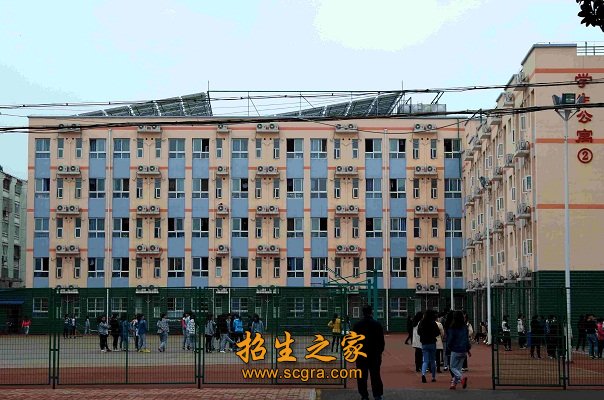 市级澳门永利注册官网玩法说明专家3人