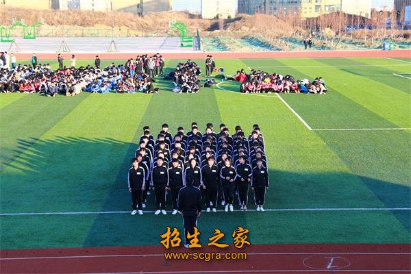 以职业化训练为主题