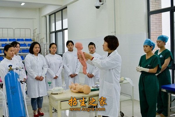 专科招生计划 专业名称 专业代码 学