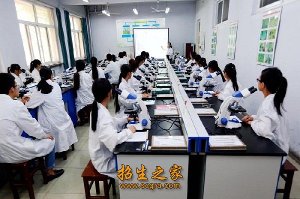 在河北省高职高专院校人才培养工作水平