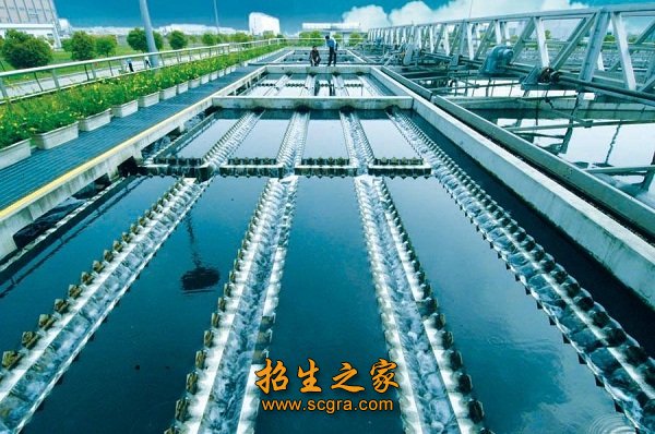 管理和技能应用性人才
