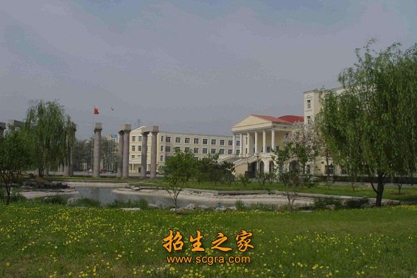同类内容同栏目条目通常按时间倒序排列