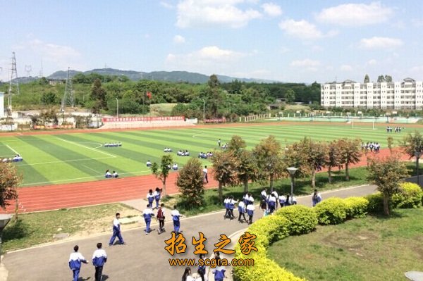 相关阅读