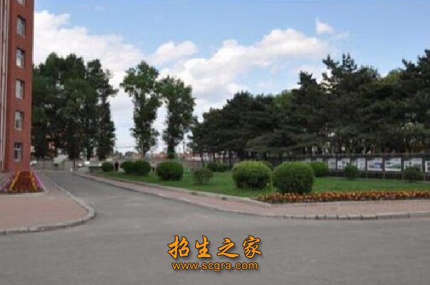 给出以下排名