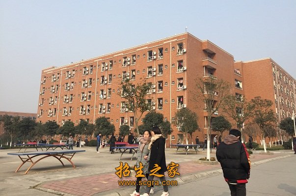 每年都有成千上万的人加入到互联网的浪