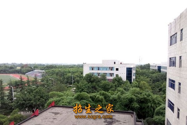 给出下面的排名