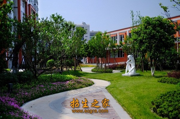 做了一个排名整理