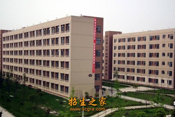 同类内容