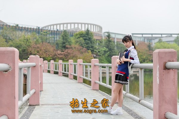 正文适合核对表述
