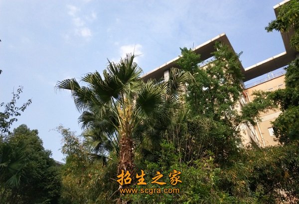 同类内容两者都保留在站内即可形成完整