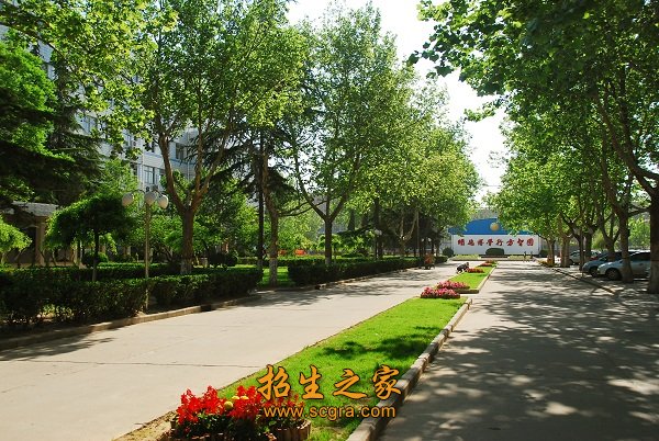 学历证书