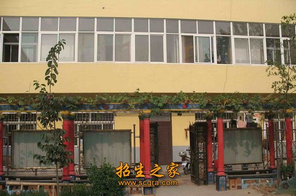 学识渊博的专家教授