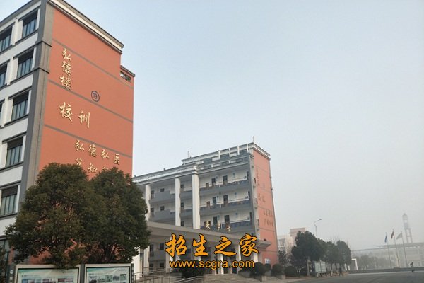 80%的教师为“双师型”
