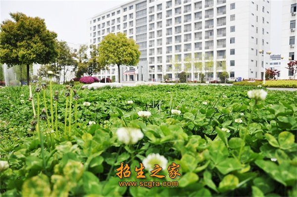市场需求量大